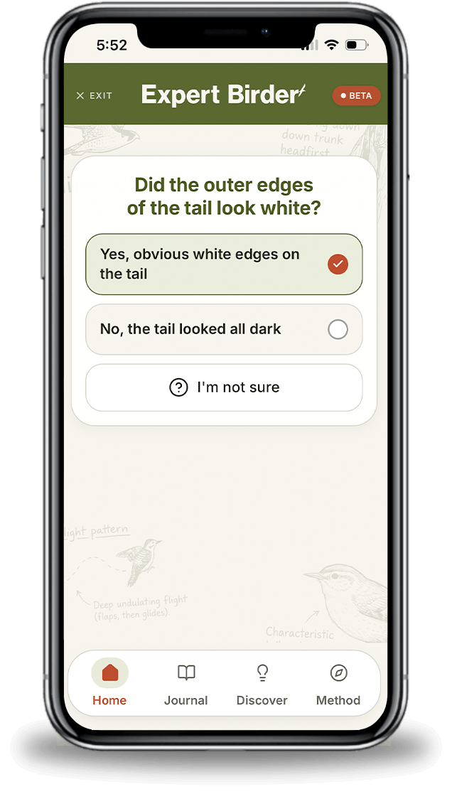 Narrow it down screen in Expert Birder
