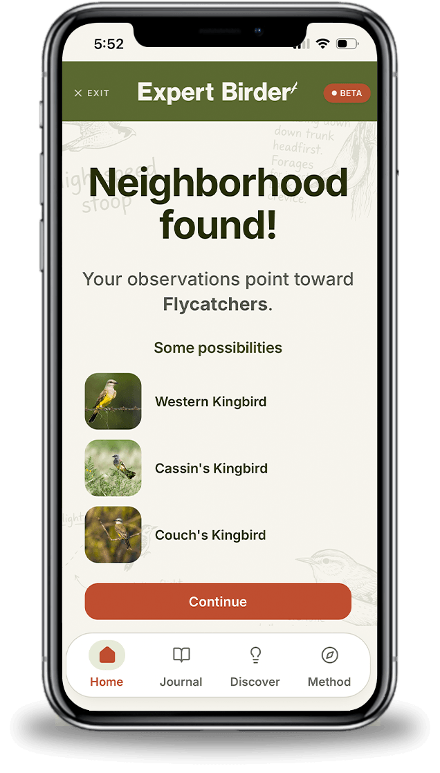 Find the neighborhood screen in Expert Birder