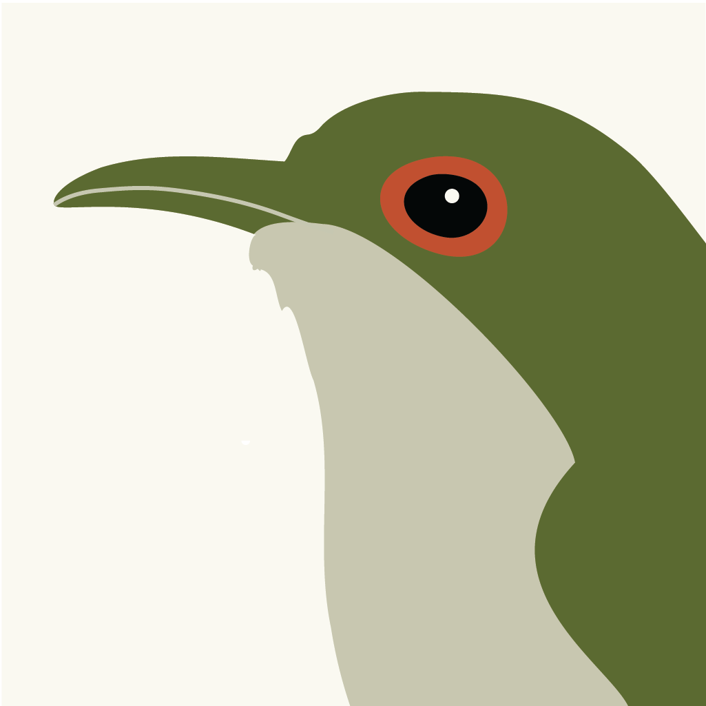 Expert Birder app icon